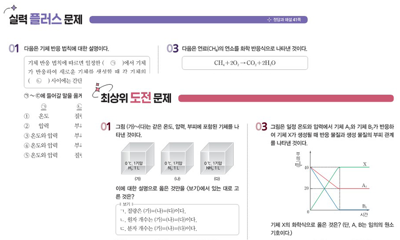 실력 플러스 문제, 최상위 도전 문제 이미지